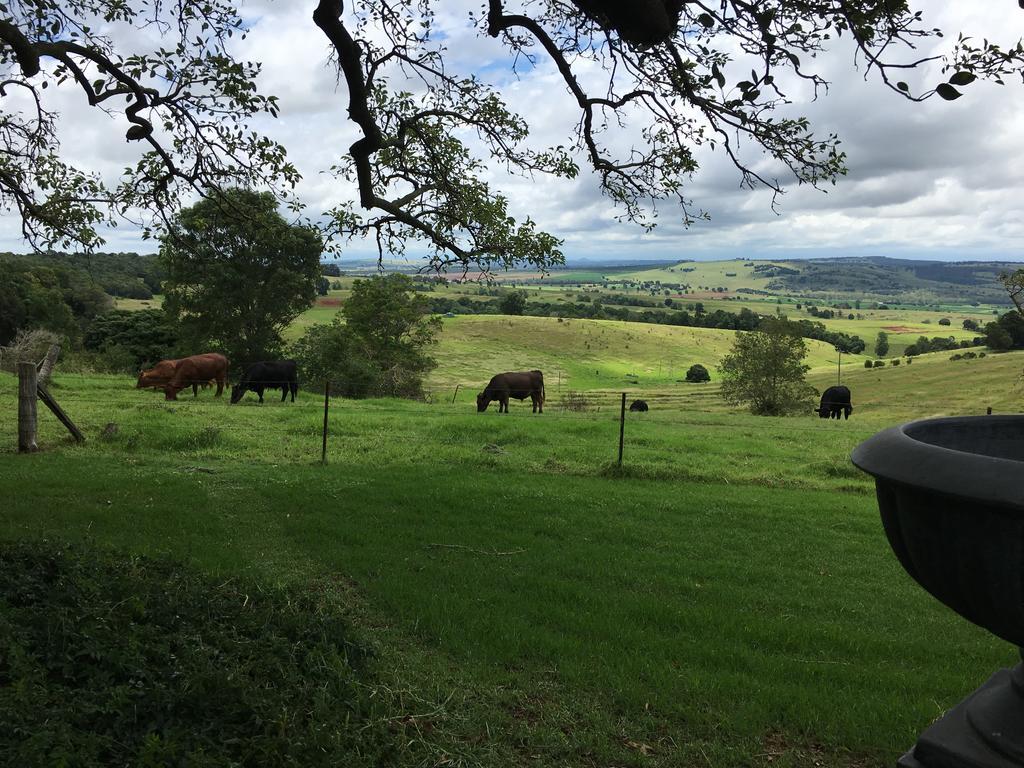 Hillview Cottages Kingaroy Luaran gambar