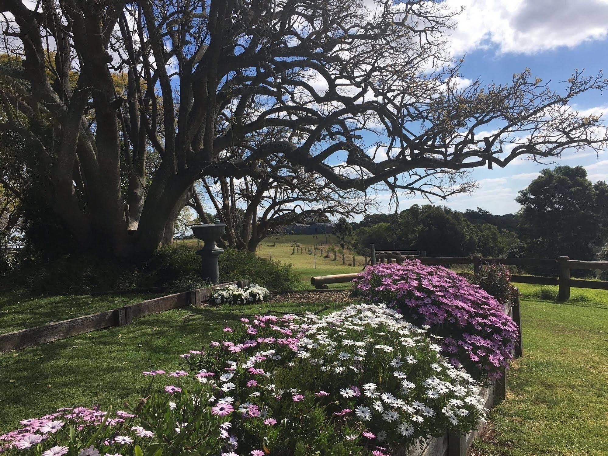 Hillview Cottages Kingaroy Luaran gambar